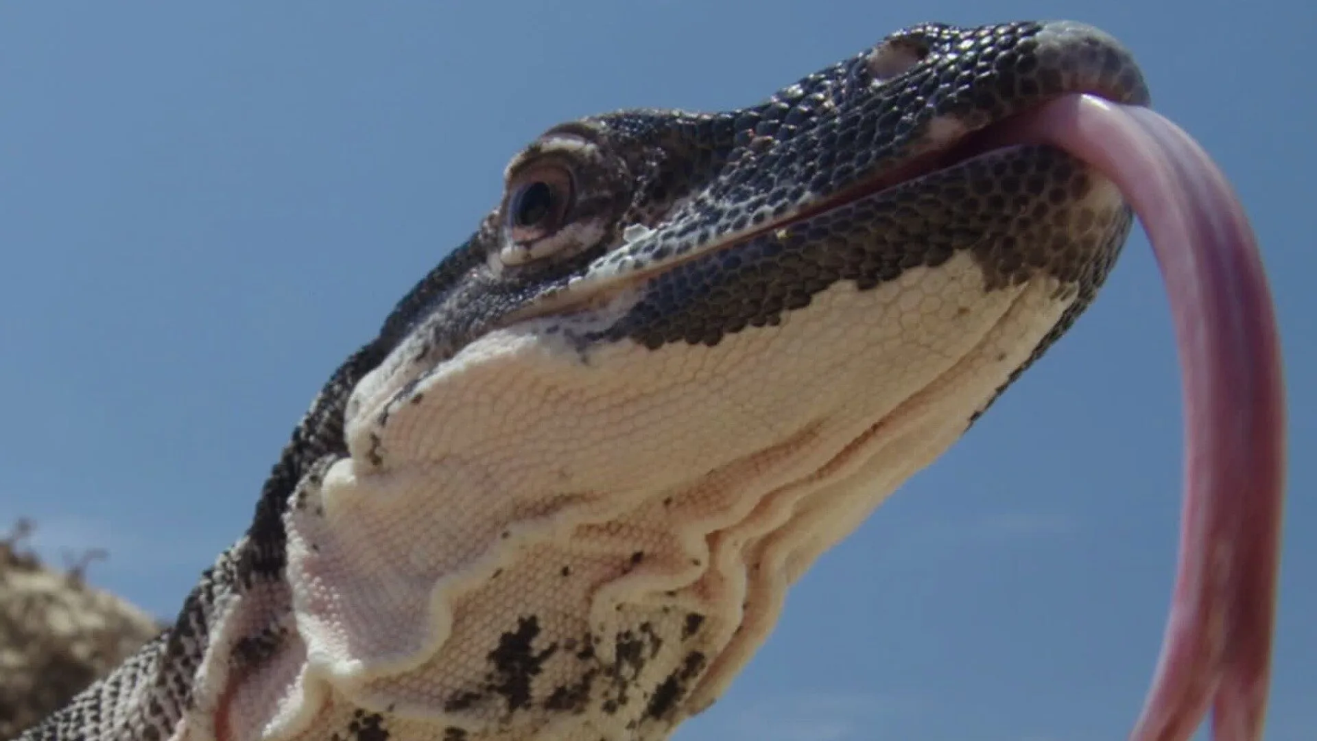 Isole nascoste d'Australia stagione 1