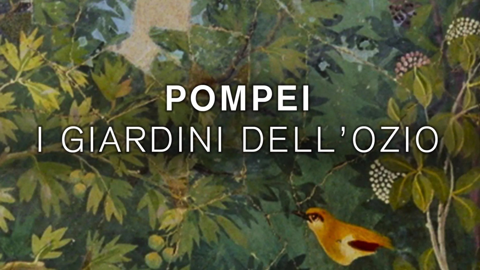 Italian Season stagione 1