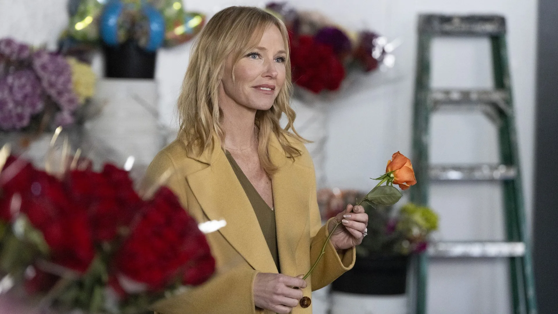 Law & Order: Special Victims Unit stagione 25