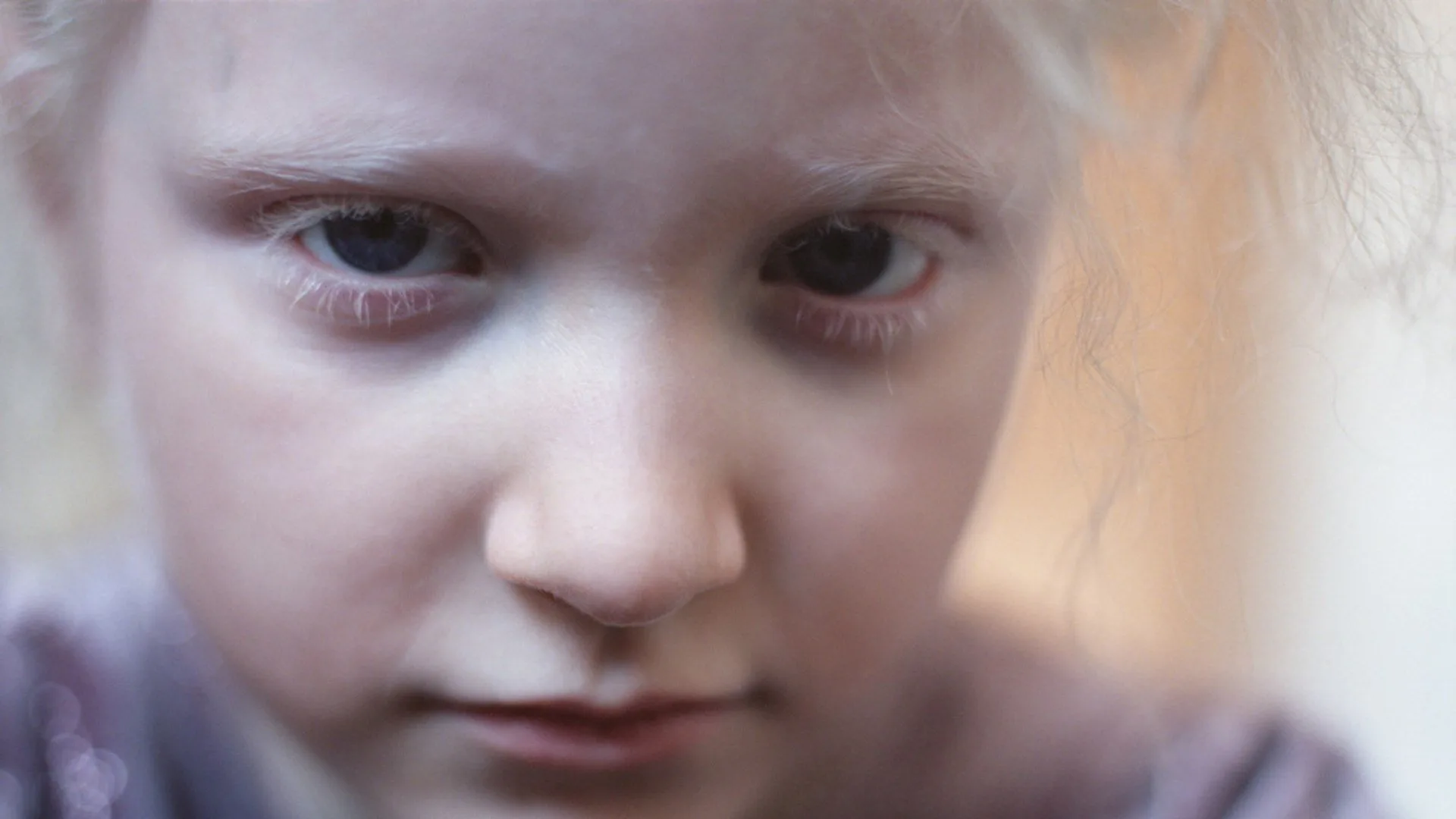 Le fotografe stagione 2