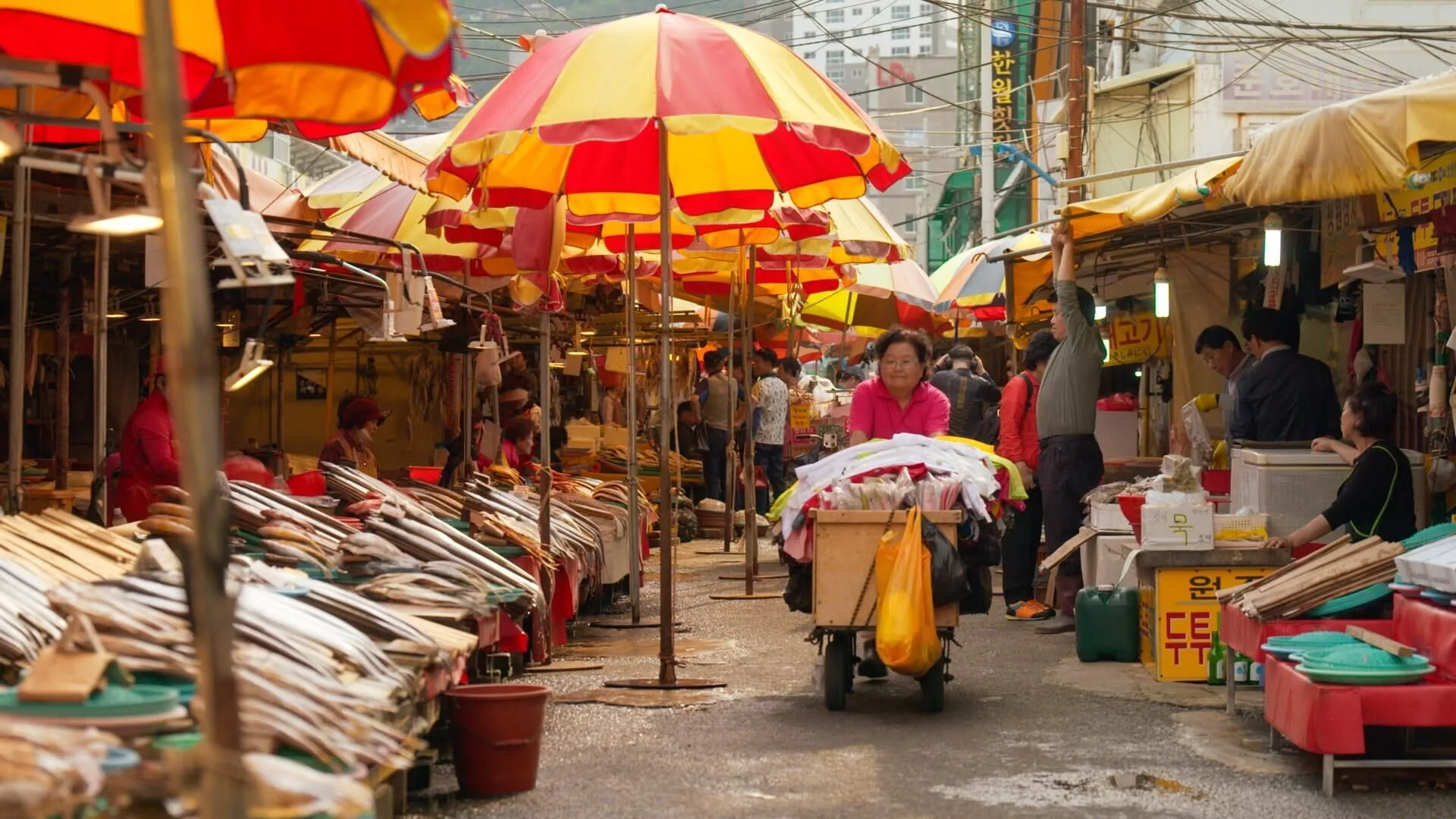 Markets of the world stagione 1