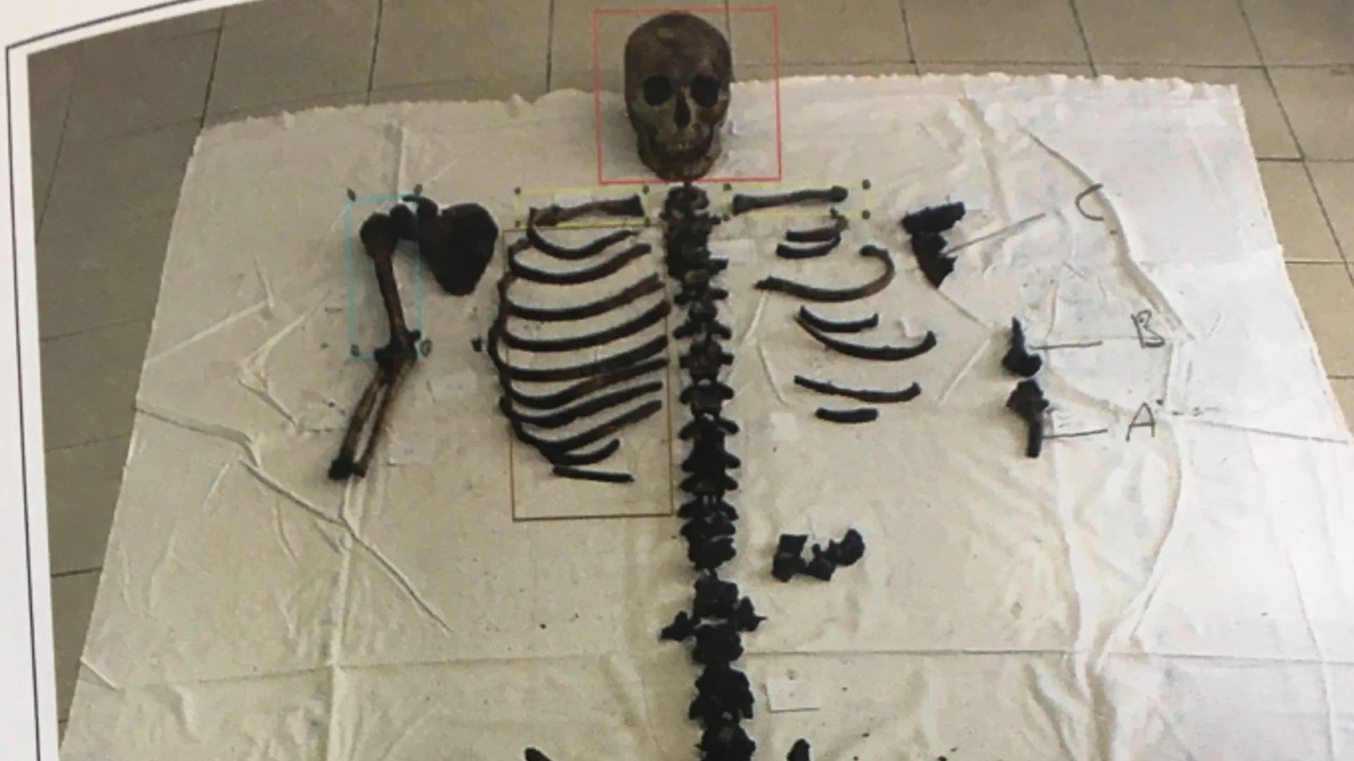 Mostri senza nome - Roma stagione 1