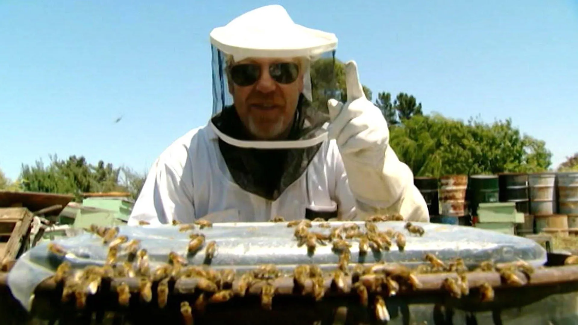 MythBusters stagione 9