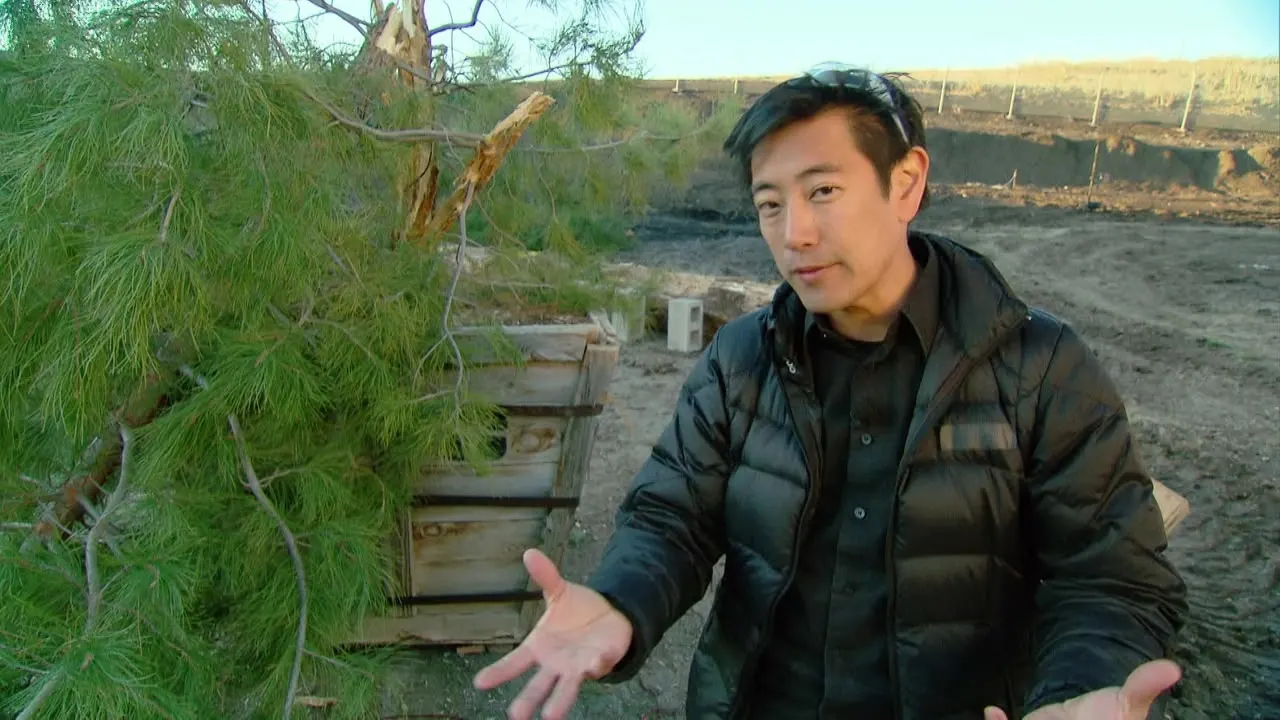 MythBusters stagione 10