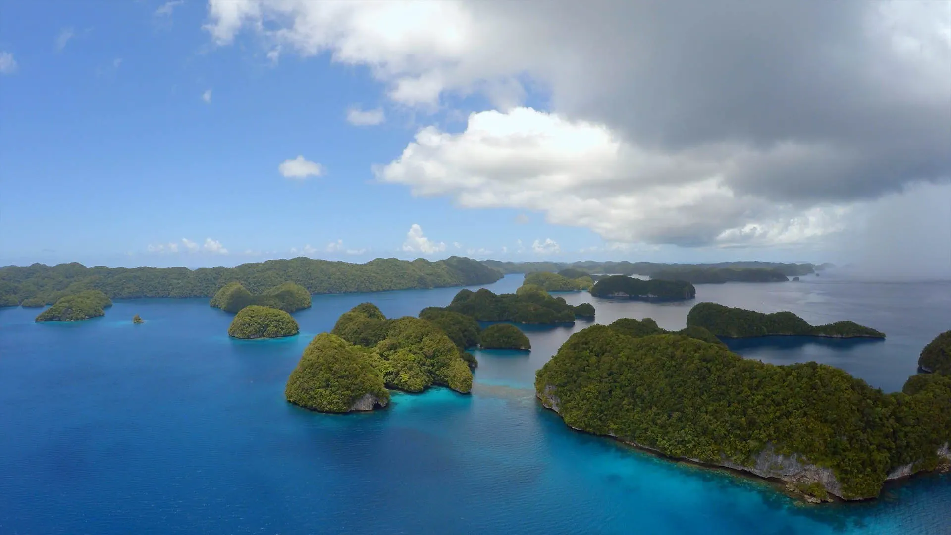 Nel selvaggio blu stagione 2