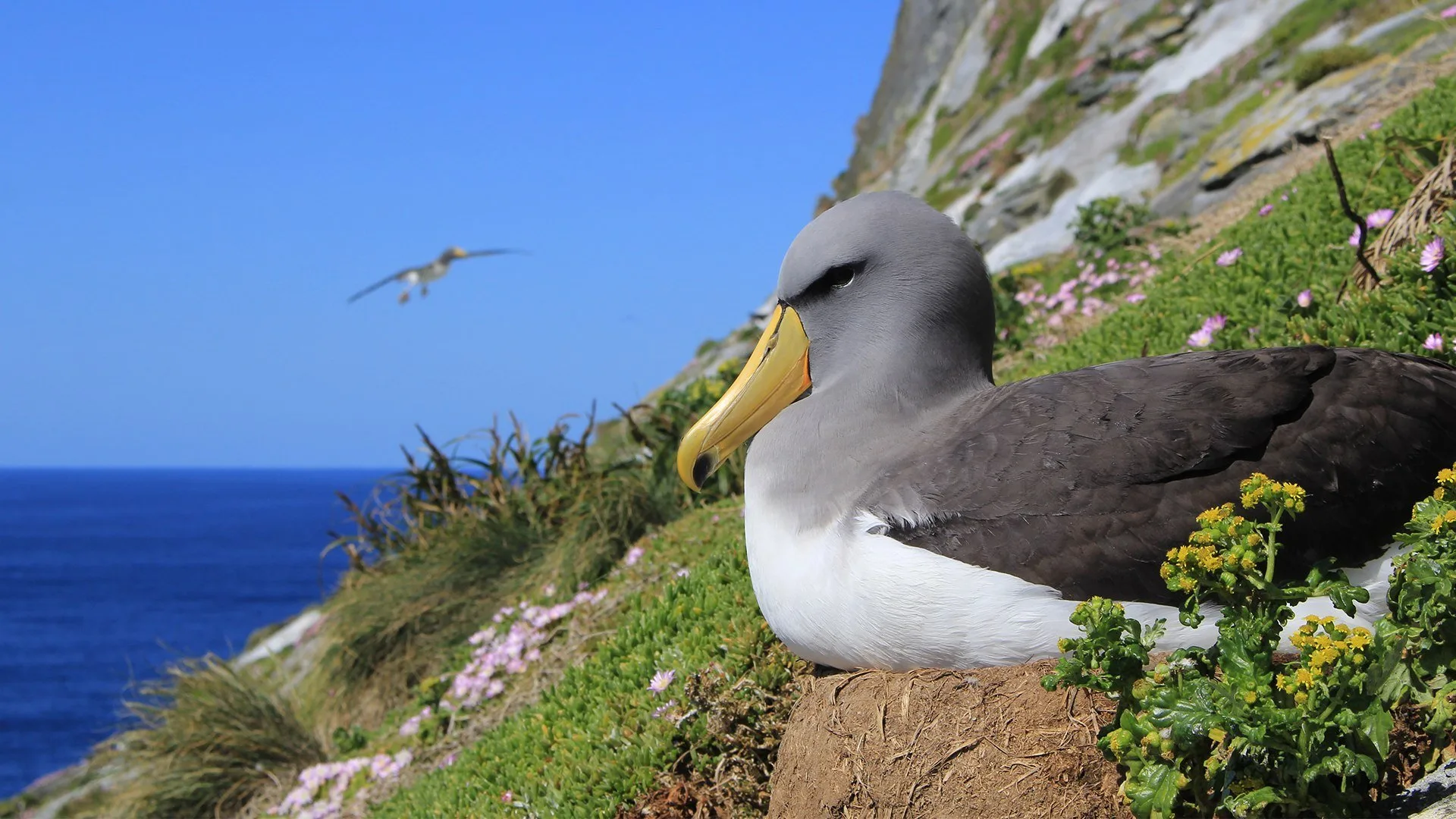 Nuova Zelanda - La terra delle ombre stagione 1