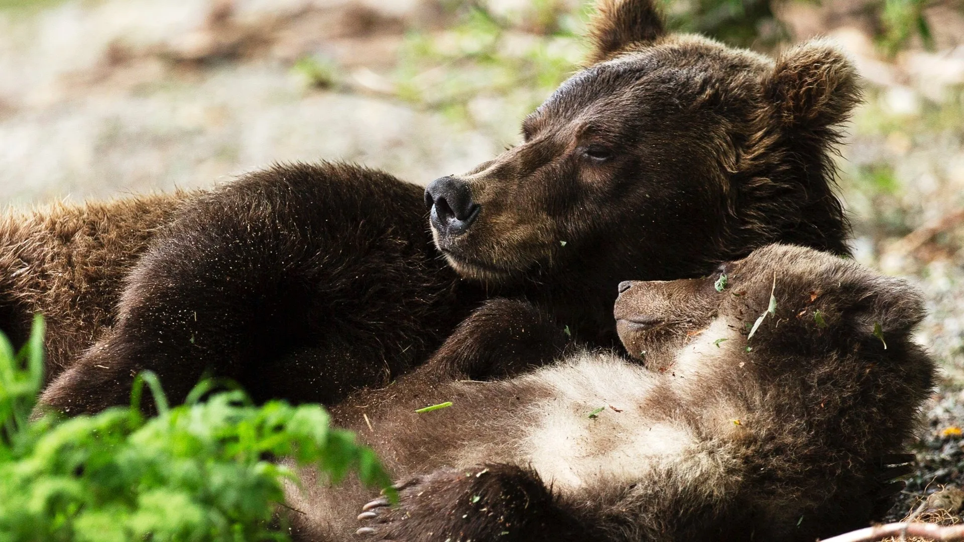 One Strange Rock: pianeta Terra stagione 1
