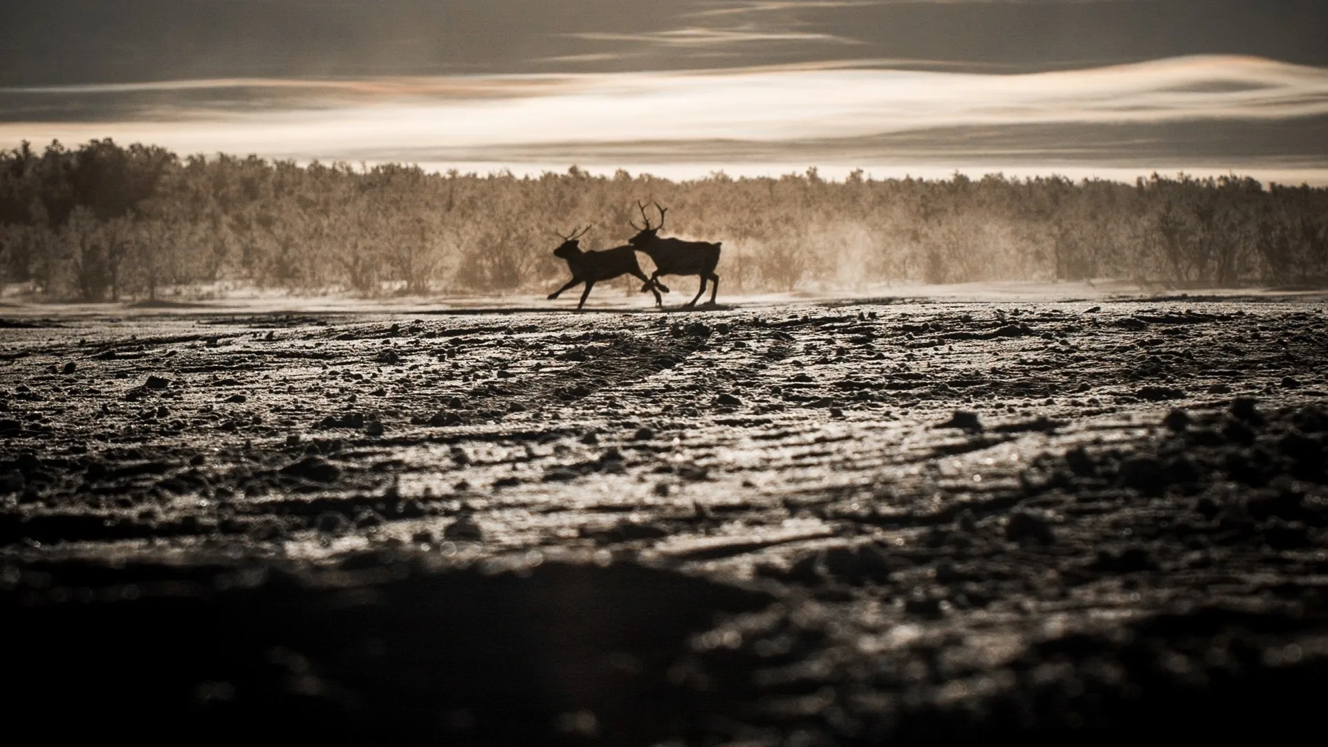 One Strange Rock: pianeta Terra stagione 1