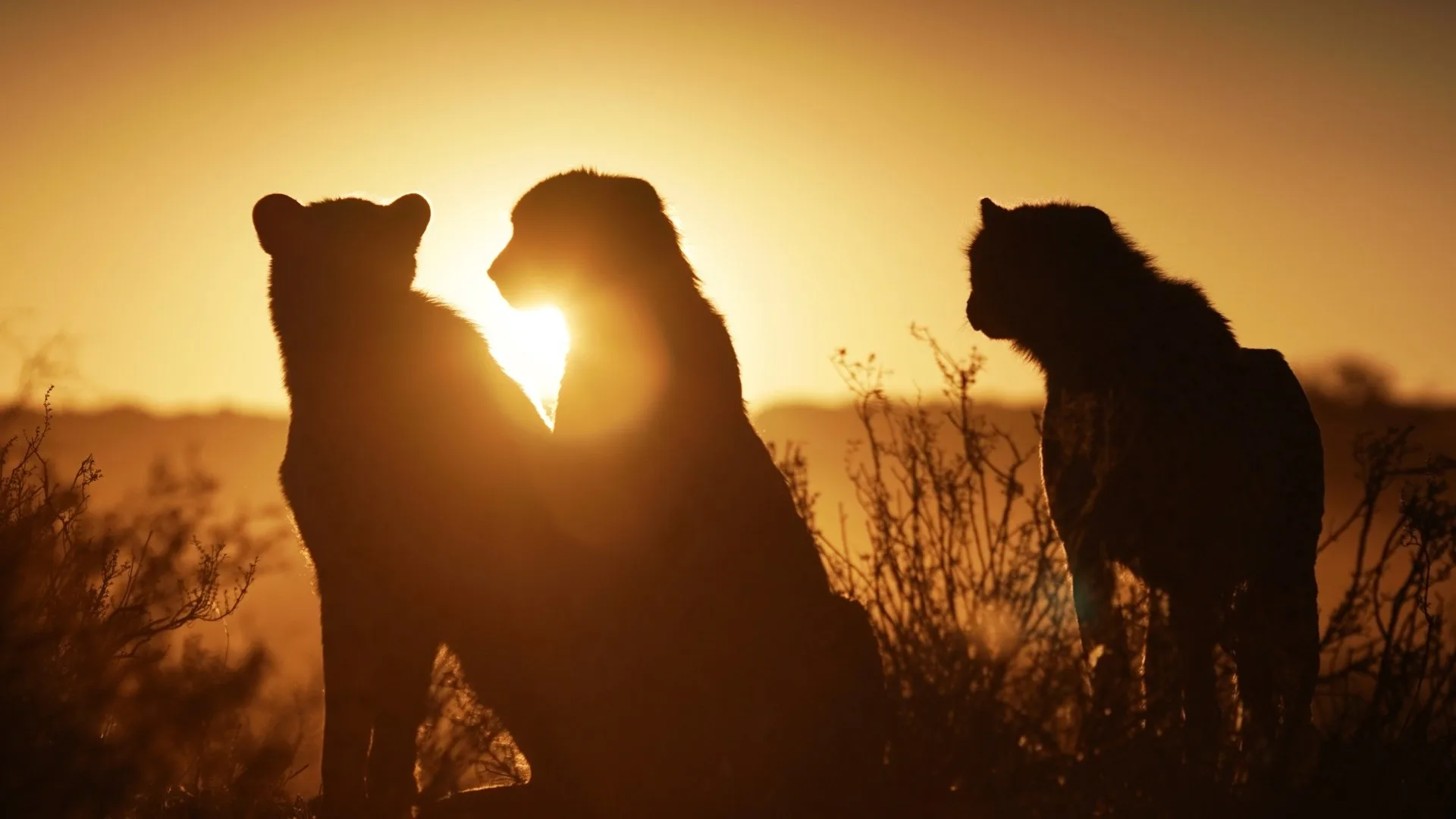 One Strange Rock: pianeta Terra stagione 1