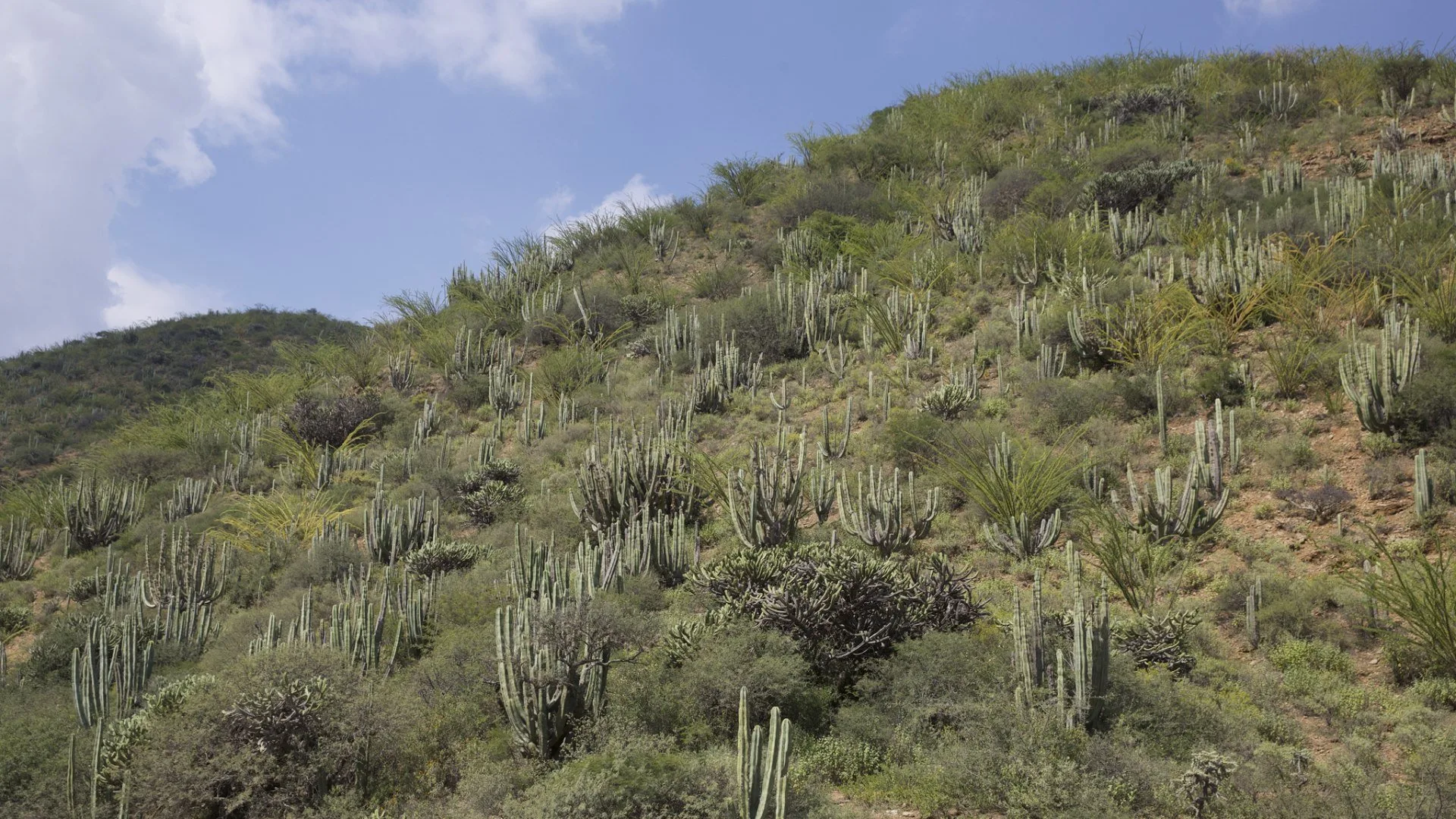 Panorami nascosti stagione 3