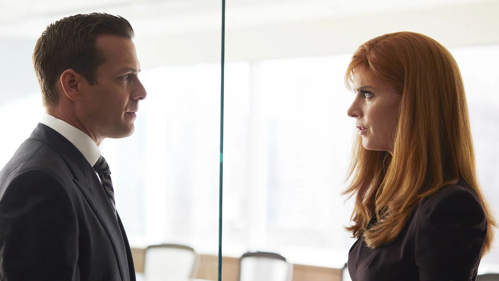 Suits stagione 7