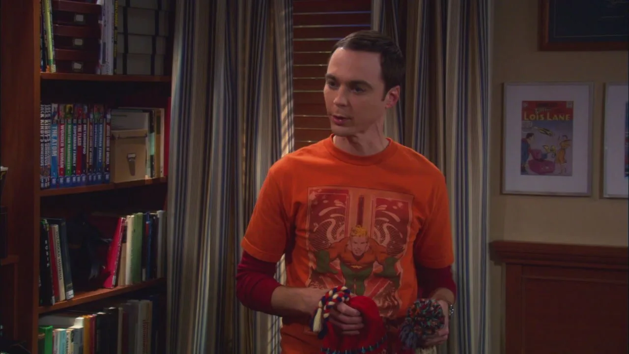 The Big Bang Theory stagione 3