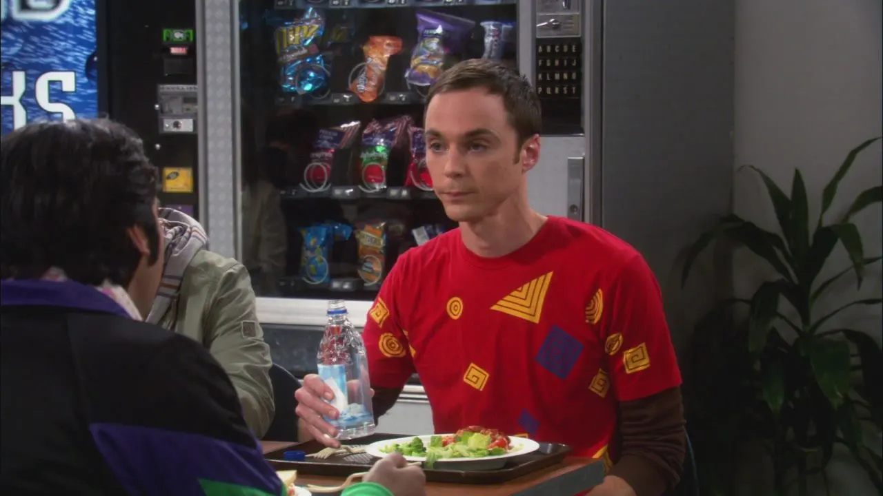 The Big Bang Theory stagione 4