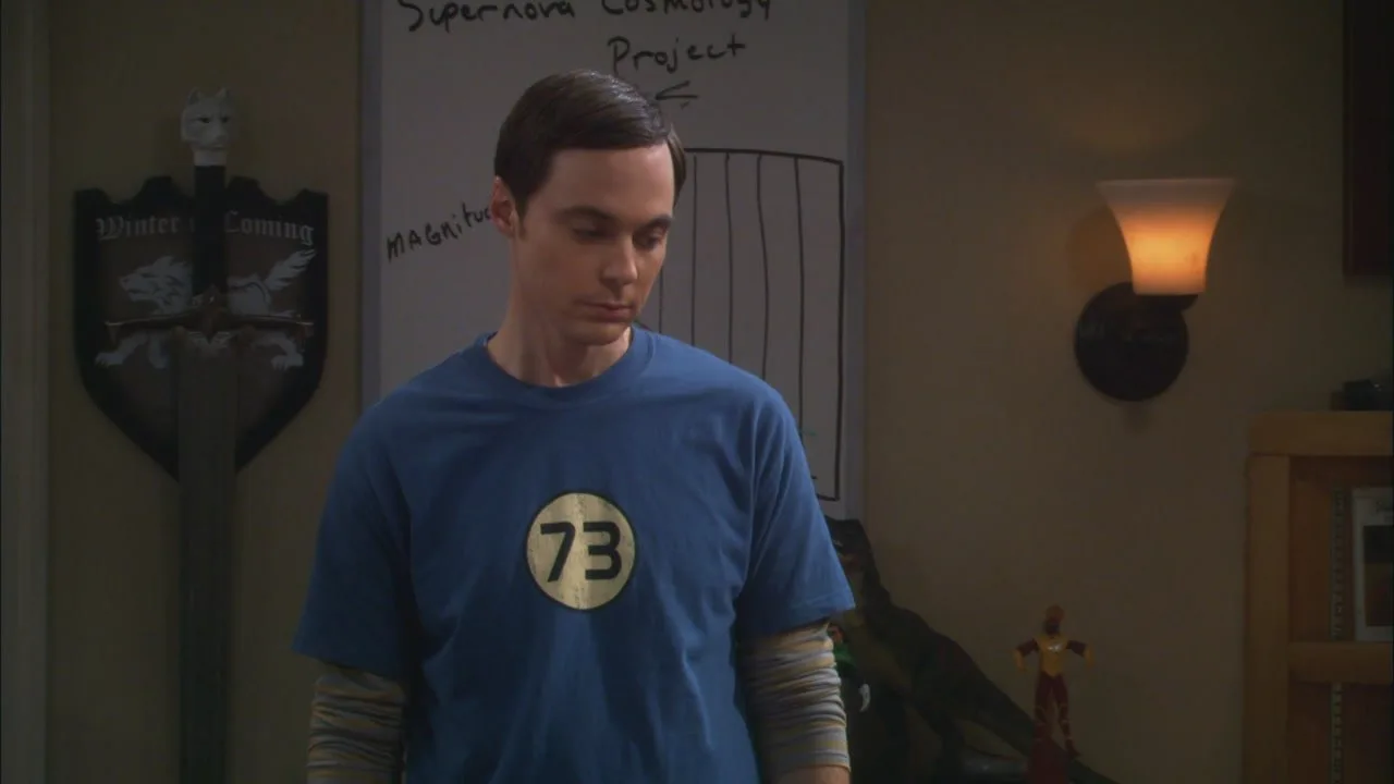 The Big Bang Theory stagione 5