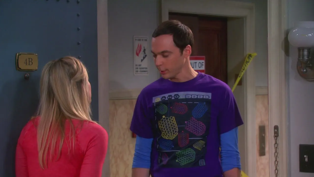 The Big Bang Theory stagione 6