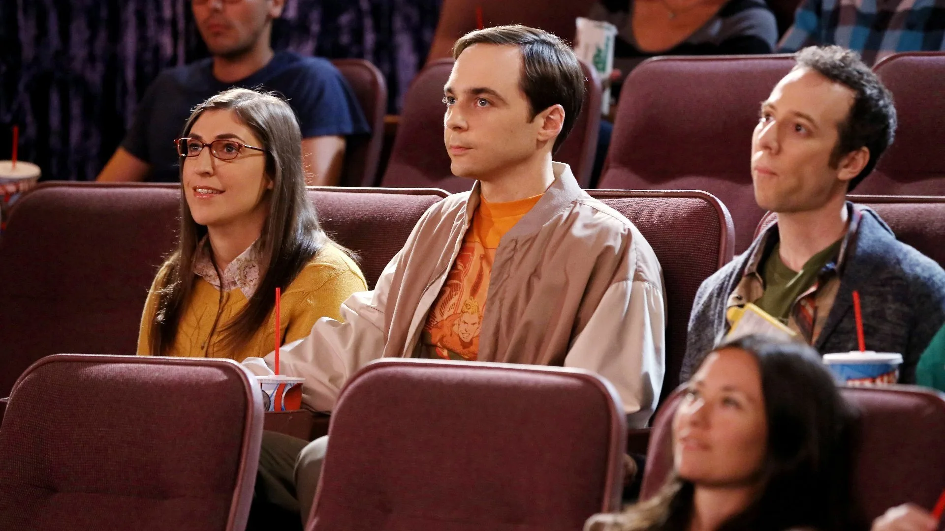 The Big Bang Theory stagione 6