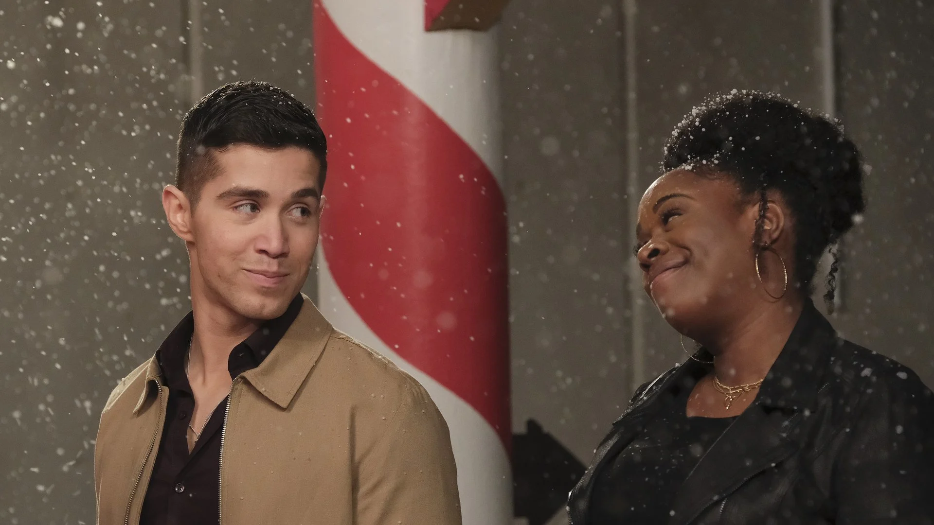 The Good Wife stagione 6