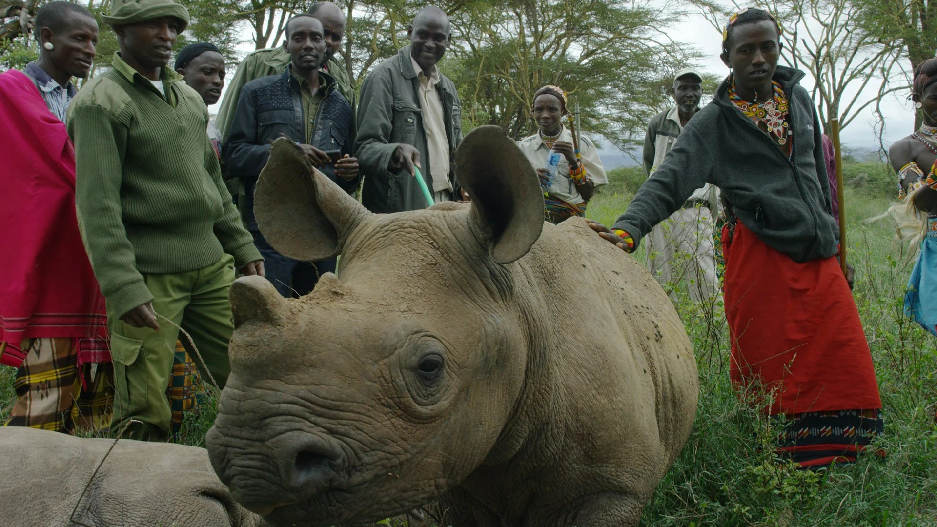Wild Kenya stagione 1