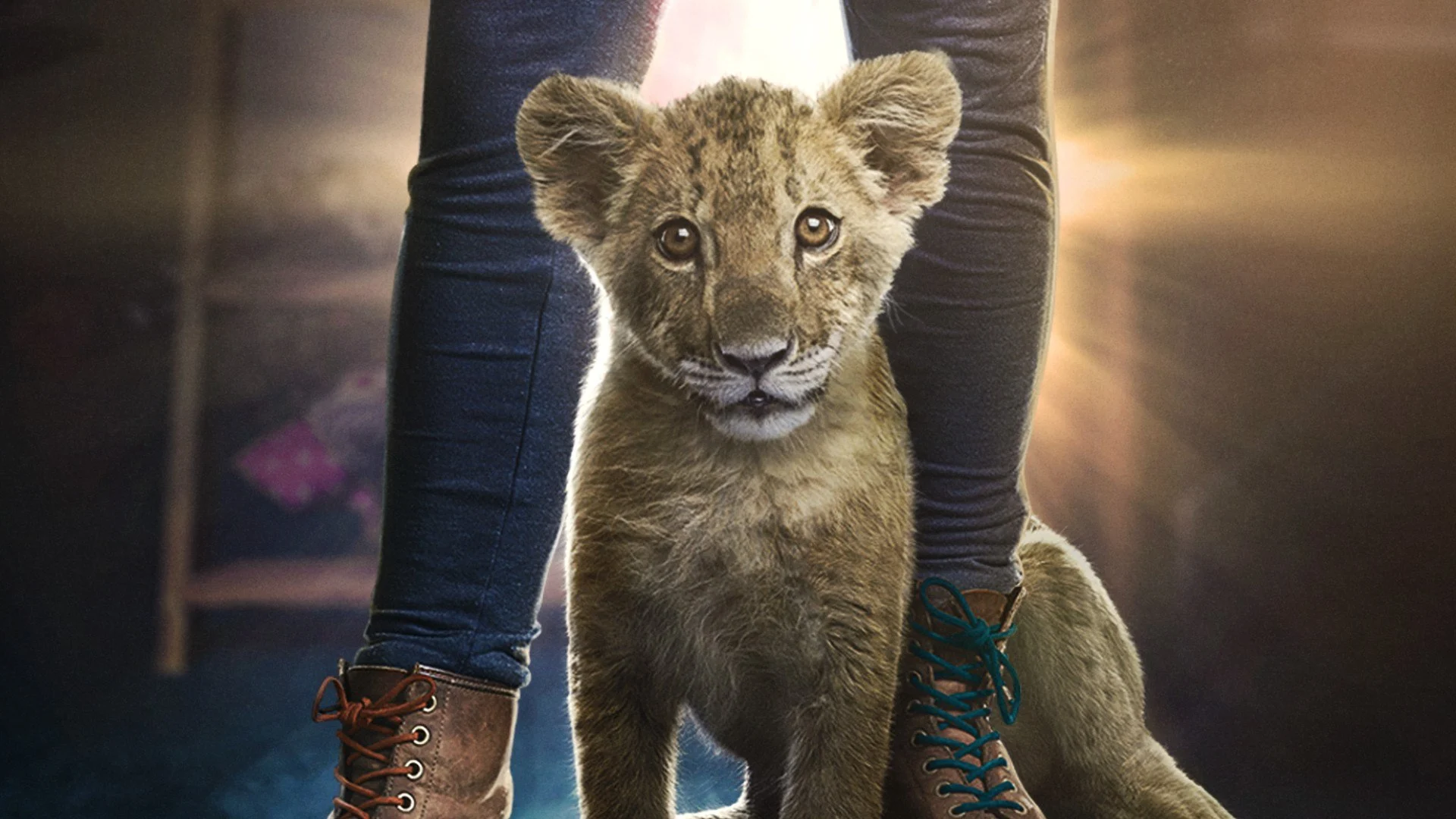 King - Un cucciolo da salvare