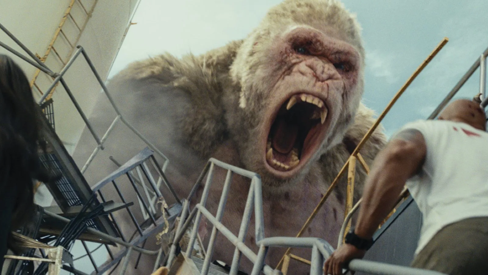 Rampage - Furia animale