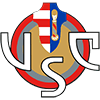 team logo 1bzduroyzi